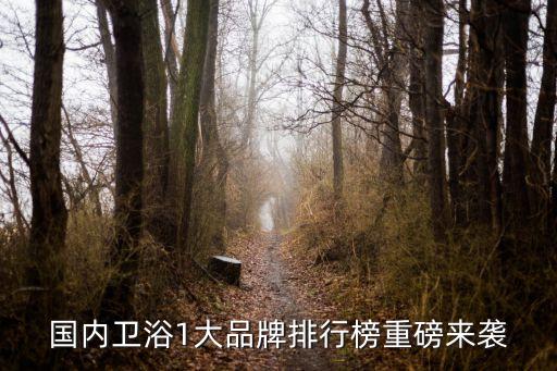 國內(nèi)衛(wèi)浴1大品牌排行榜重磅來襲