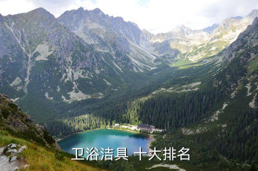  衛(wèi)浴潔具 十大排名