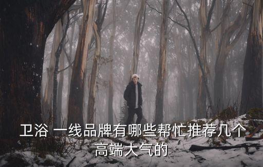  衛(wèi)浴 一線品牌有哪些幫忙推薦幾個高端大氣的