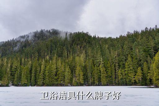 品牌衛(wèi)浴搬運(yùn),中國(guó)十大衛(wèi)浴品牌有哪些