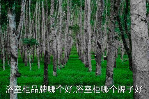 浴室柜品牌哪個好,浴室柜哪個牌子好