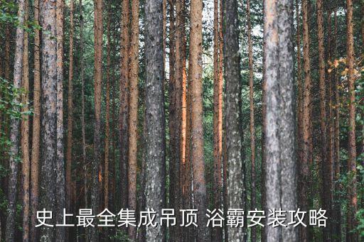 別墅衛(wèi)浴浴霸安裝圖片大全