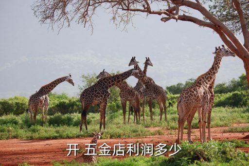 開 五金店利潤(rùn)多少