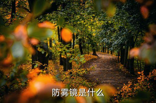 防霧鏡是什么