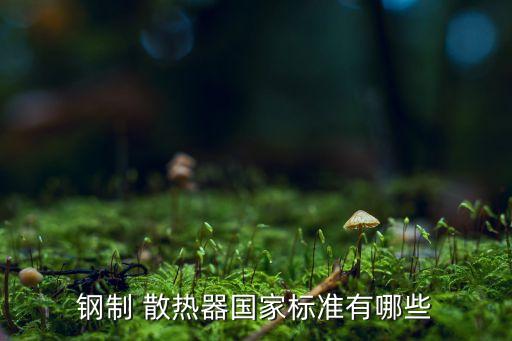 鋼制 散熱器國(guó)家標(biāo)準(zhǔn)有哪些