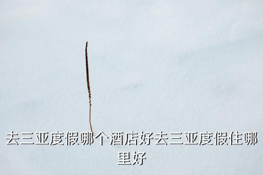 去三亞度假哪個酒店好去三亞度假住哪里好