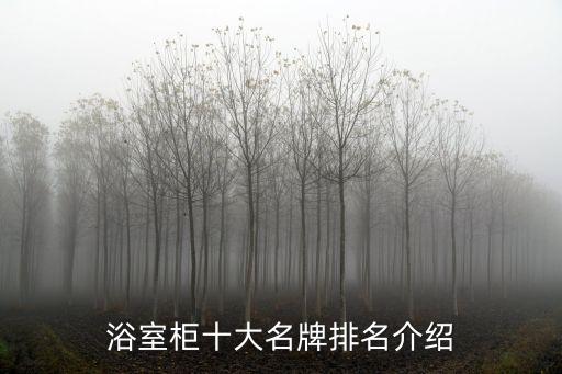 浴室柜十大名牌排名介紹