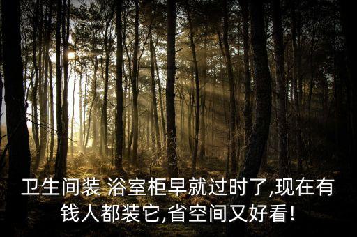 衛(wèi)浴室柜圖片欣賞,衛(wèi)浴門店裝修圖片欣賞