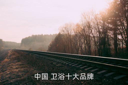 中國 衛(wèi)浴十大品牌