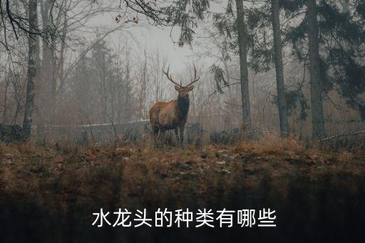  水龍頭的種類有哪些
