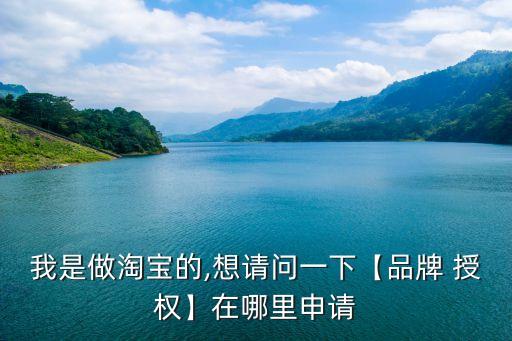 我是做淘寶的,想請問一下【品牌 授權(quán)】在哪里申請