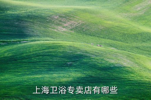 上海衛(wèi)浴專賣店有哪些