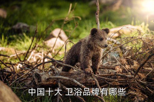 中國十大 衛(wèi)浴品牌有哪些