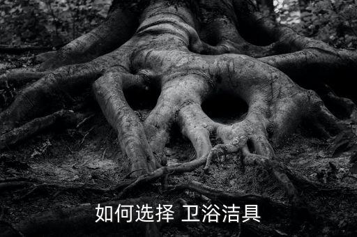 集裝箱衛(wèi)浴底座圖片