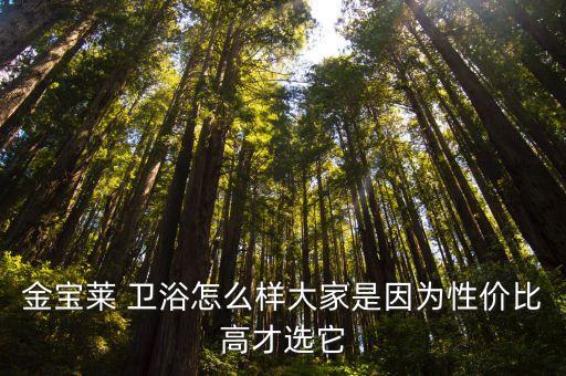 金寶萊 衛(wèi)浴怎么樣大家是因?yàn)樾詢(xún)r(jià)比高才選它