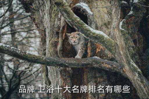 品牌 衛(wèi)浴十大名牌排名有哪些