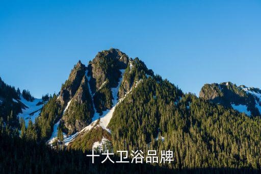 十大衛(wèi)浴品牌
