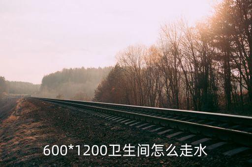 600*1200衛(wèi)生間怎么走水