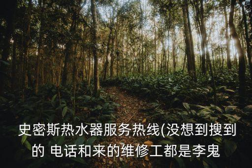  史密斯熱水器服務(wù)熱線(沒(méi)想到搜到的 電話和來(lái)的維修工都是李鬼