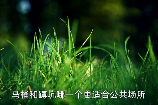 衛(wèi)浴店蹲坑放置圖片