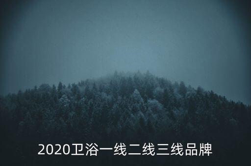 2020衛(wèi)浴一線二線三線品牌