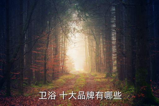 巴西衛(wèi)浴十大品牌,十大衛(wèi)浴品牌排行榜2022