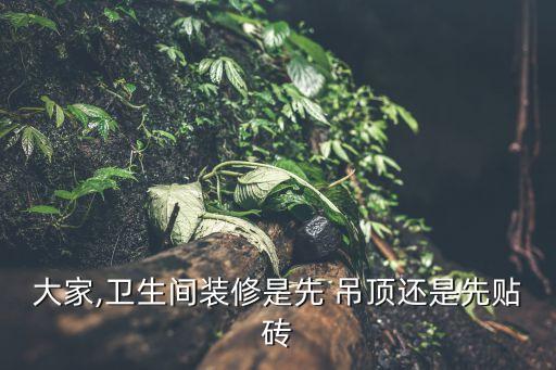 大家,衛(wèi)生間裝修是先 吊頂還是先貼磚