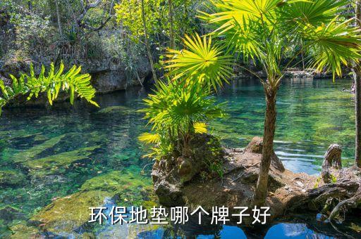環(huán)保地墊哪個(gè)牌子好