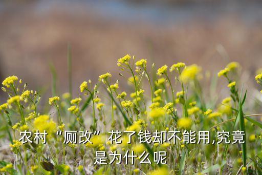  農(nóng)村“廁改”花了錢卻不能用,究竟是為什么呢