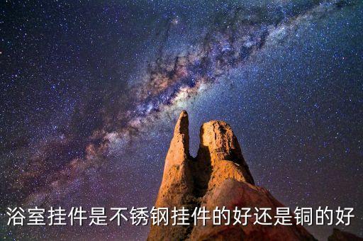 浴室掛件是不銹鋼掛件的好還是銅的好