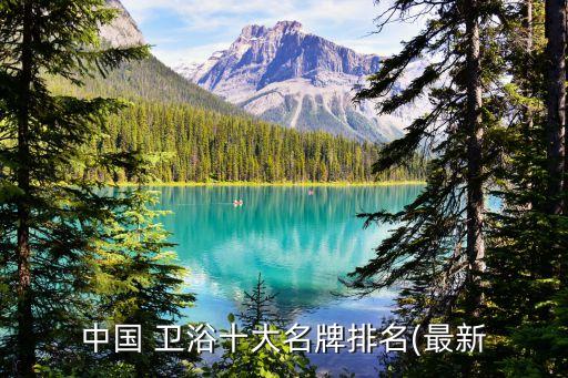 中國 衛(wèi)浴十大名牌排名(最新