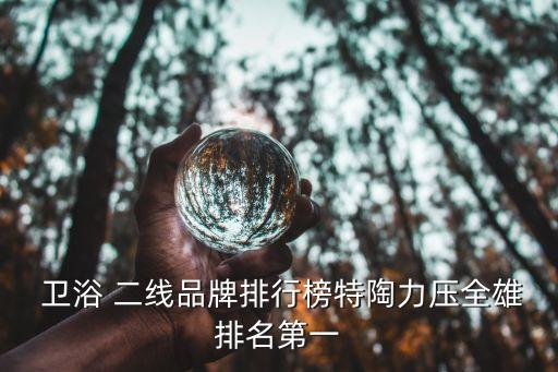  衛(wèi)浴 二線品牌排行榜特陶力壓全雄排名第一