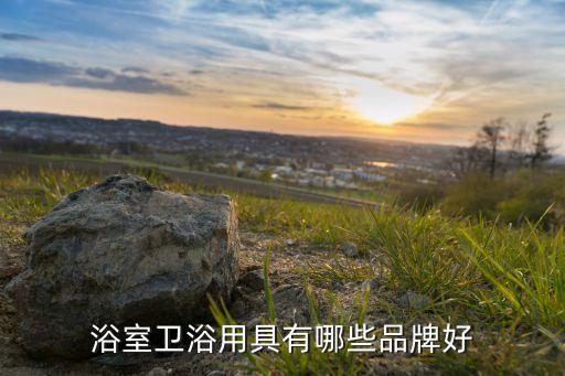 特陶衛(wèi)浴瓷磚推薦店鋪圖片