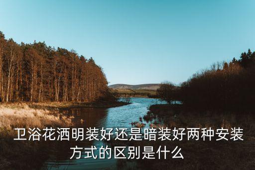 衛(wèi)浴五金入墻圖片,衛(wèi)浴墻排圖片