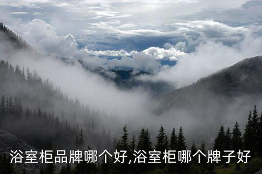 江陰智能化衛(wèi)浴售價表圖片