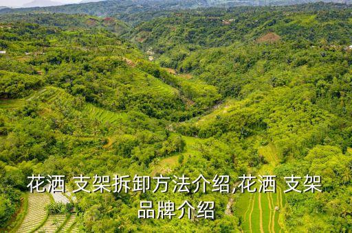 花灑 支架拆卸方法介紹,花灑 支架品牌介紹