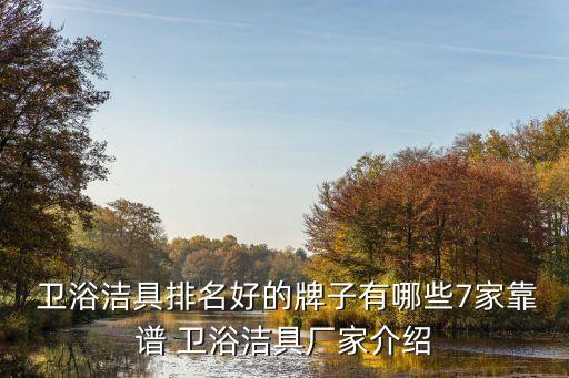 衛(wèi)浴工廠品牌有哪些好,衛(wèi)浴代工廠自主品牌