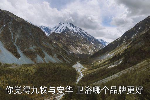 你覺得九牧與安華 衛(wèi)浴哪個品牌更好