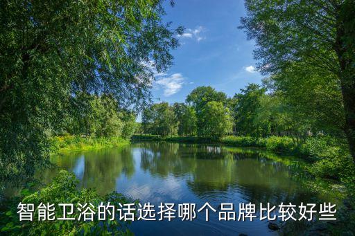 智能衛(wèi)浴的話選擇哪個(gè)品牌比較好些