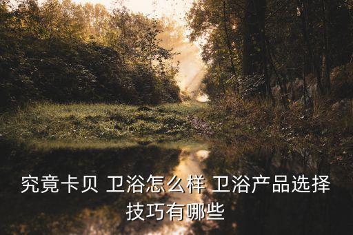 銀色水龍頭衛(wèi)浴圖片欣賞