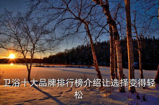 衛(wèi)浴十大品牌排行榜介紹讓選擇變得輕松