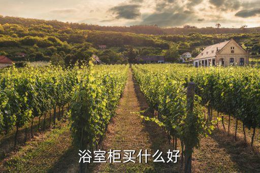 浴室柜買什么好