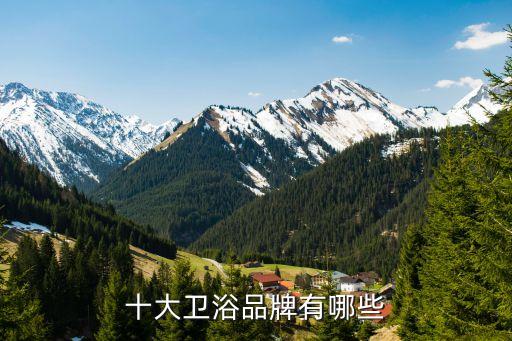 十大衛(wèi)浴品牌有哪些