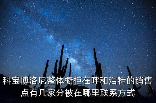廚柜衛(wèi)浴代理專(zhuān)賣(mài)店地址