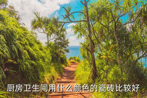 廚房衛(wèi)生間用什么顏色的瓷磚比較好