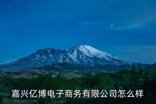 嘉興億博電子商務(wù)有限公司怎么樣