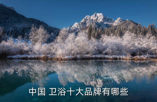 中國(guó) 衛(wèi)浴十大品牌有哪些