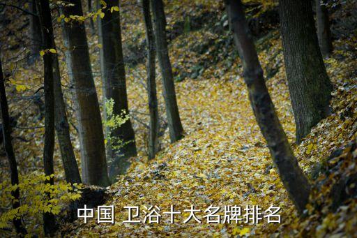 中國 衛(wèi)浴十大名牌排名