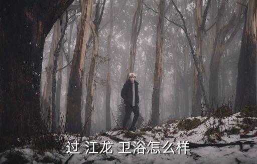 過(guò) 江龍 衛(wèi)浴怎么樣