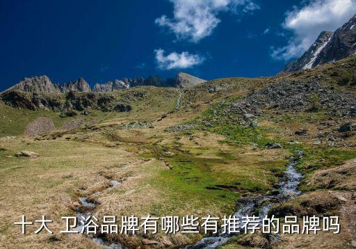 十大 衛(wèi)浴品牌有哪些有推薦的品牌嗎